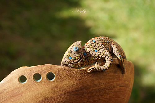 Chameleon na procházce — foto 1