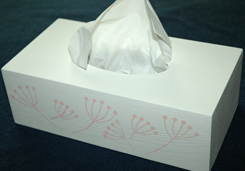 Box na papírové kapesníky — foto 1