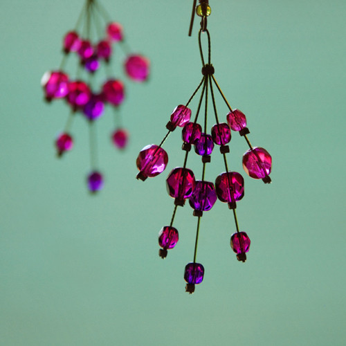 Fuchsijové — foto 1