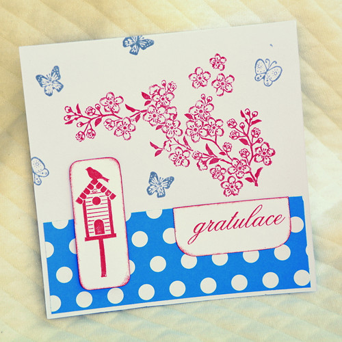 Puntíkatá gratulace III., P65