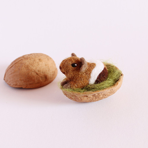 Mini morčátko strakaté — foto 1