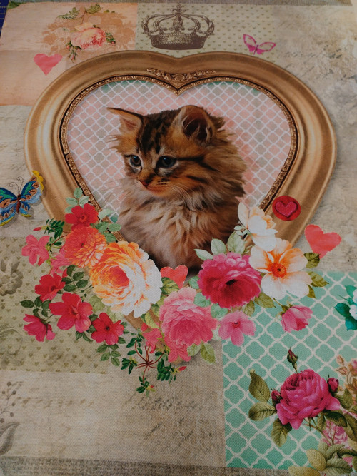 Panel kočka 3 — foto 1