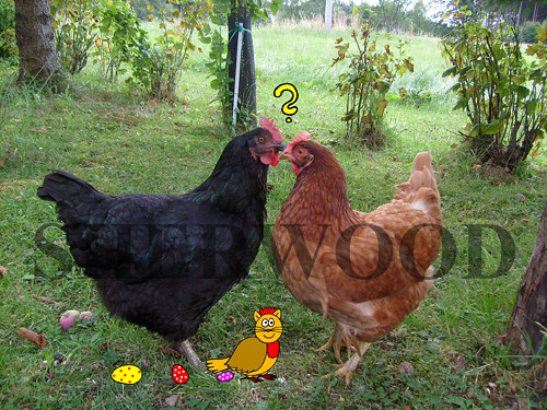 Ko-ko-kolegyně,Vy ji znáte?