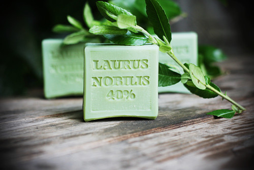 Laurus Nobilis 40% — foto 1