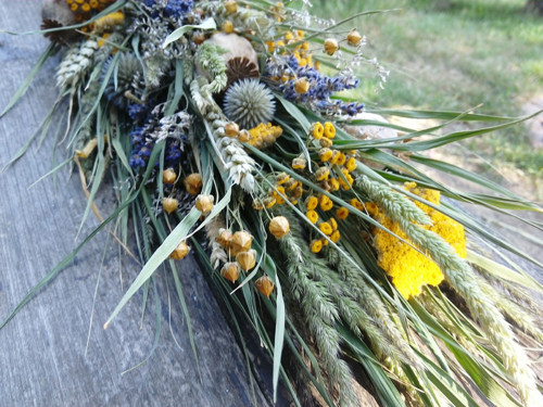 Přírodní, letní — foto 1