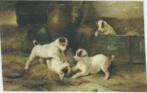 Bavlněná látka - panel 8 x 12,5 cm