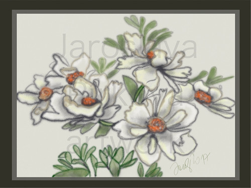 Paeony