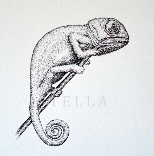 Chameleon - originál — foto 1