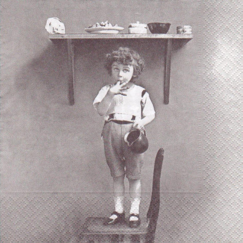 Ubrousek vintage - malý mlsoun
