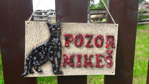Pozor kočka — foto 1