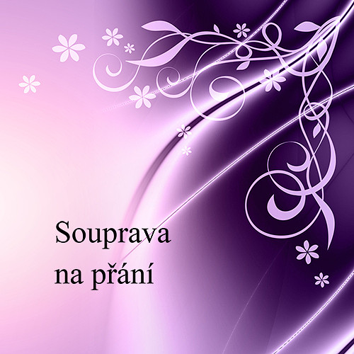 Souprava na přání — foto 1