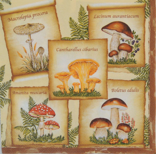 Ubrousek na decoupage houby — foto 1