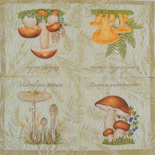 Ubrousek na decoupage houby — foto 1