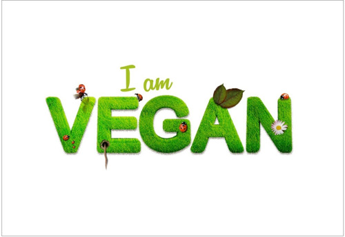 Panel 16x11cm I AM VEGAN — foto 1