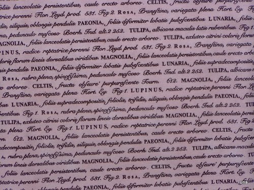 Látka Botanika růžová - text — foto 1