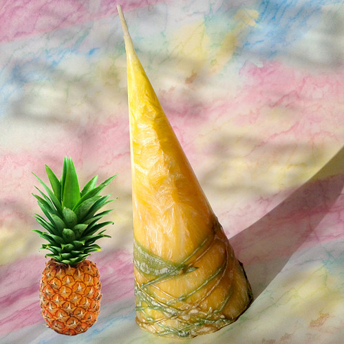 Ovocné léto - ananas — foto 1