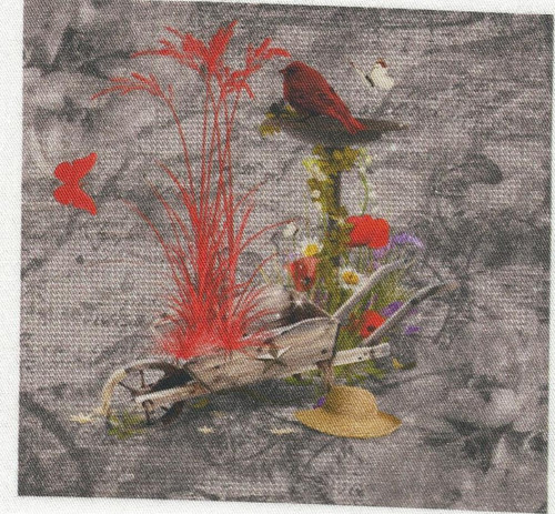 Bavlněná látka - panel 10 x 10,5 cm