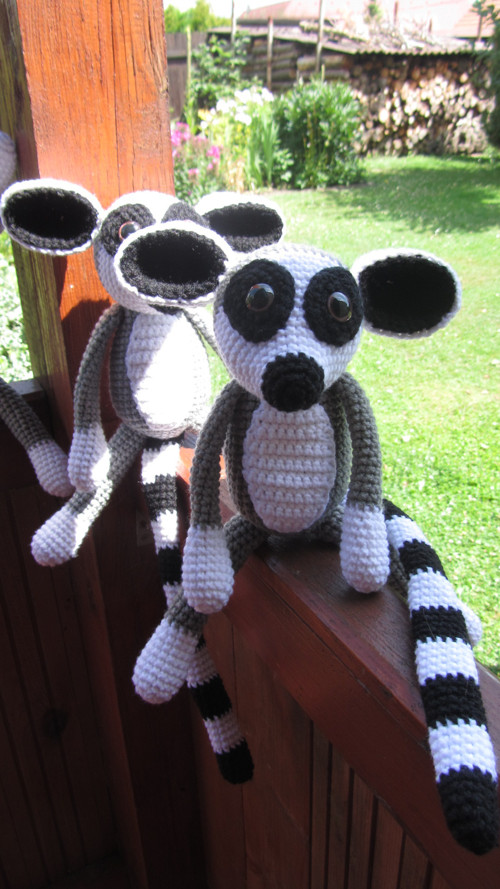 Háčkovaná partička lemurů — foto 1