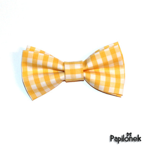 Papilónek na přání — foto 1
