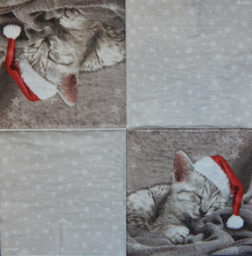 Santa kotě 911