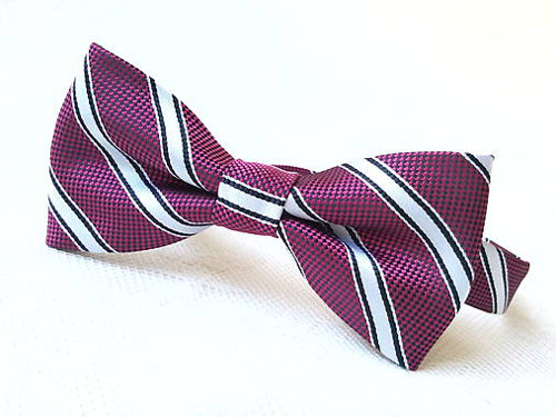 Pánsky RECY motýlik Retro gentleman