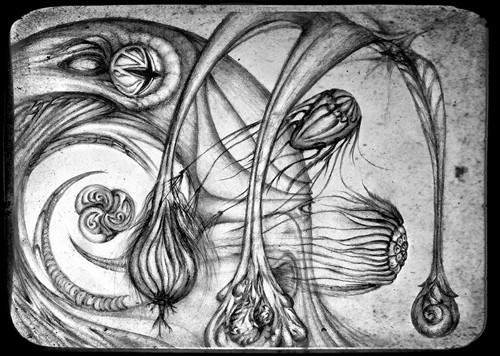 MicroSea AnoMá-lis