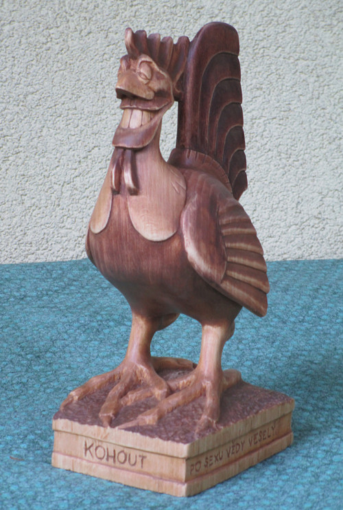 Kohout