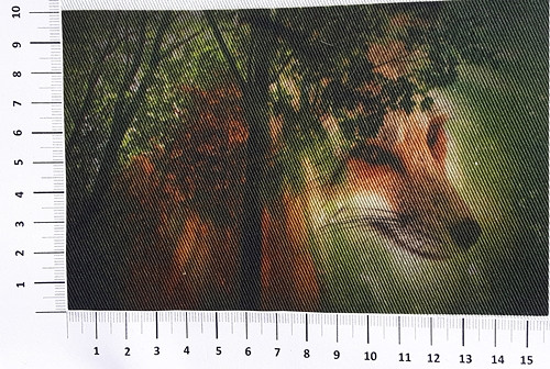 KEPR - panel (6K9) — foto 1