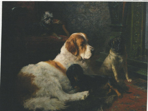 Bavlněná látka - panel 8,5 x 14,5 cm