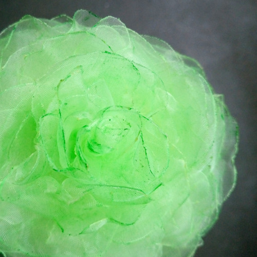 Paint Green