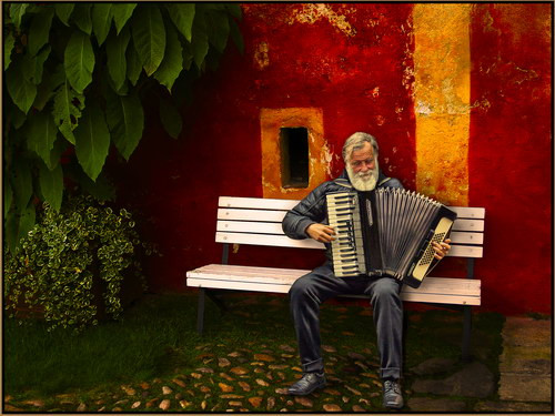 Muzikant