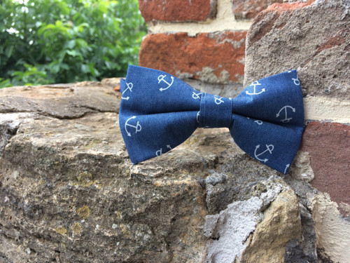 Anchor motýlek — foto 1