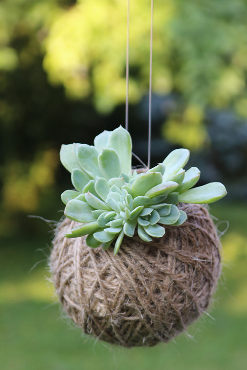 KOKEDAMA světle zelená — foto 1