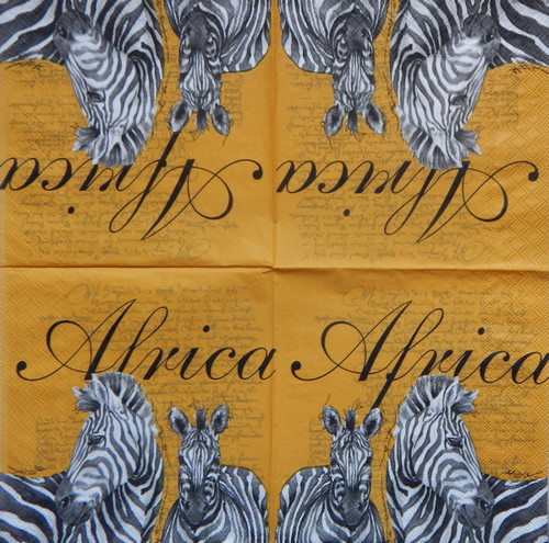 Afrika - zebry 1032 — foto 1