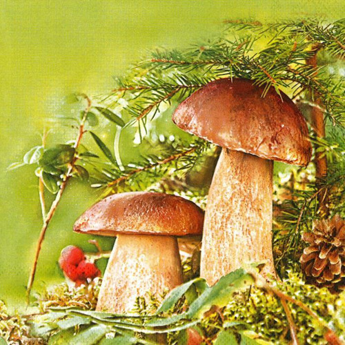 Ubrousek na decoupage, Hřiby 2, 1ks — foto 1