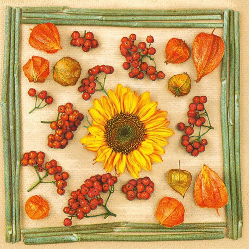 Ubrousek na decoupage Rostliny mix, 1ks