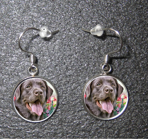 LABRADOR NÁUŠNICE chirurgická ocel