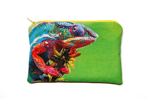 Duhový chameleon (MINI kapsička) — foto 1