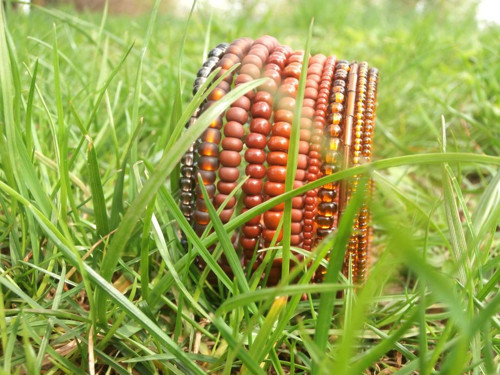 Mother Earth — foto 1