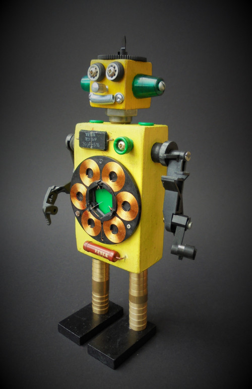 Teslabot I. — foto 1