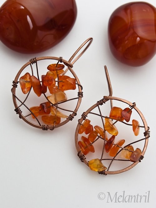 Apricot — foto 1