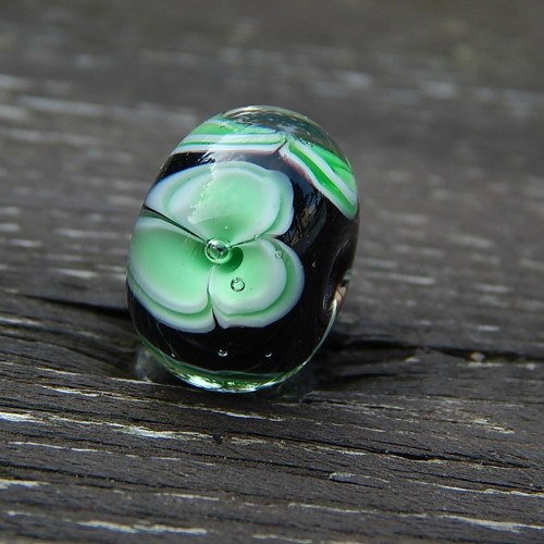 Kvítí zelené 2 — foto 1