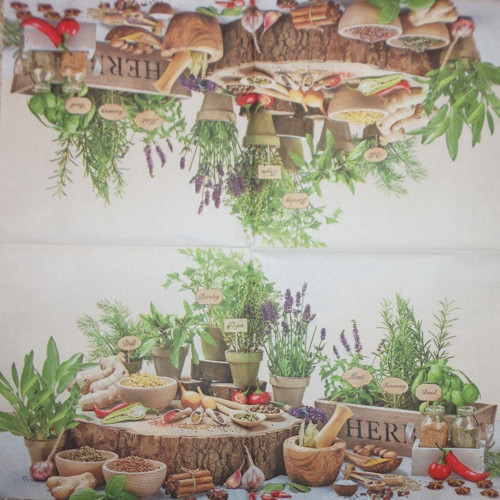 Bylinkové zátiší — foto 1
