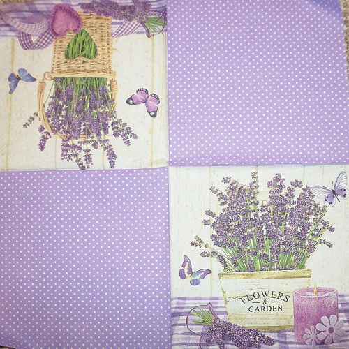 Levandule 2 motivy — foto 1