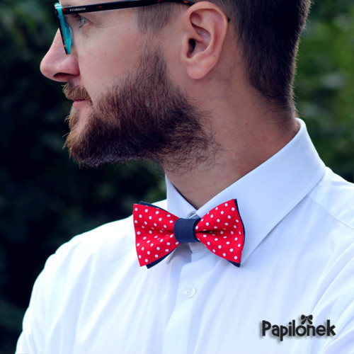 Pánský motýlek - Papilónek ferdíkovec — foto 1