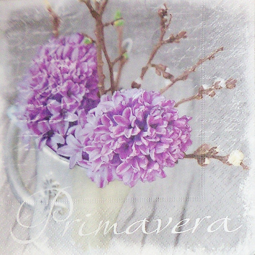 Primavera šeřík — foto 1
