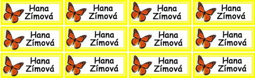 Nažehlovací jmenovky motýl, jméno na přání 12ks