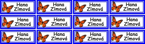 Nažehlovací jmenovky motýl - jméno na přání 12ks