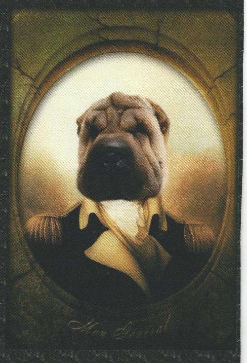 Bavlněná látka - panel 12 x 17,5 cm — foto 1