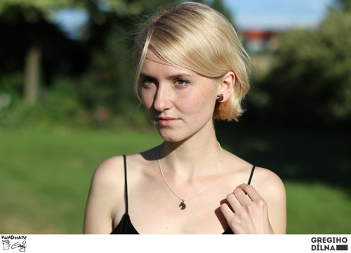Koníci - dřevěné peckové náušnice — foto 1